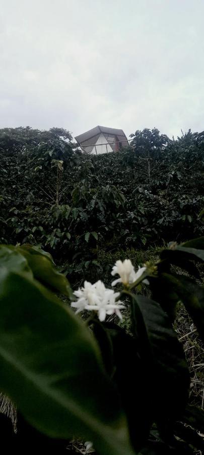 Glamping Orosierra Hotel Chinchina Luaran gambar